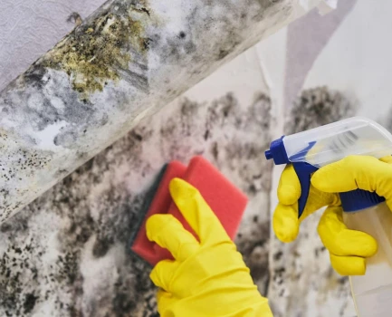 Paint Removal & Cleanup