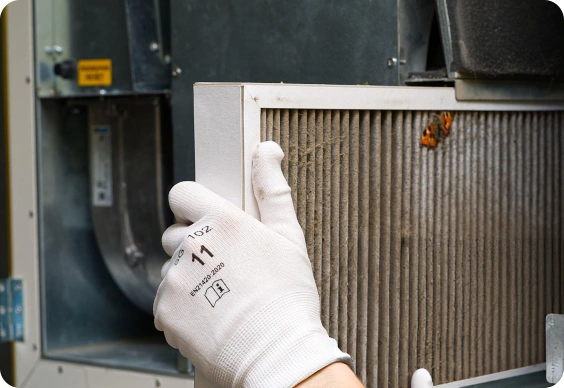 Stay Covered Every Day of the Year